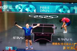 爱游戏官方入口-奥地利乒乓球队力克波兰乒乓球队，樊振东统治全场的简单介绍