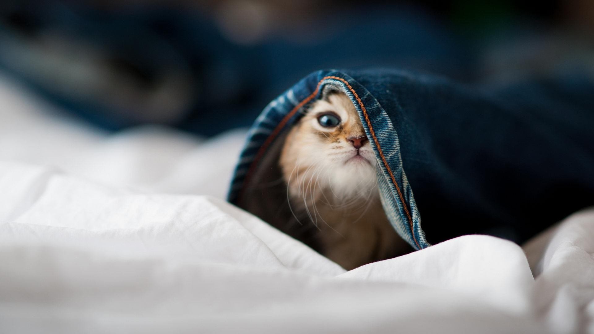 皮克一剑封喉,马里绝杀国际米兰的战术革命与永恒瞬间