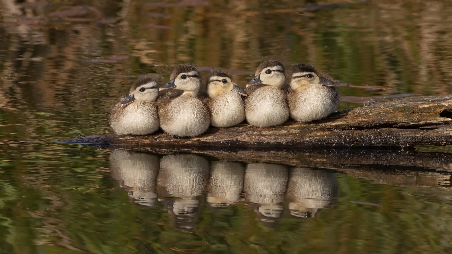 皮克一剑封喉,马里绝杀国际米兰的战术革命与永恒瞬间